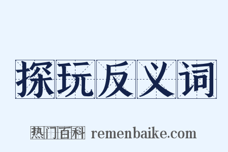 探玩反义词是什么意思的图片